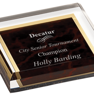 RED MARBLE ACRYLIC PAPERWEIGHT