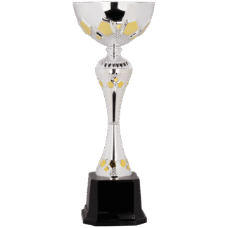 Silver/Gold Metal Cup