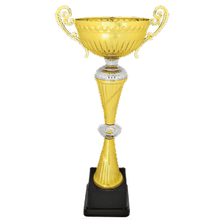 Gold/Silver Metal Cup