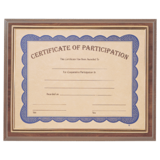 Cherry Finish Plaque with Gold Slide-In Certificate Frame