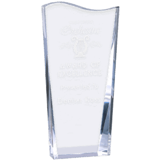 Large Crystal Facet Wave