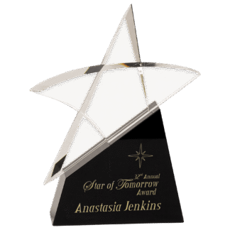 9 1/2" Premier Crystal Outline Star on a Black Crystal Base