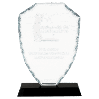 7 1/2" Shield Facet Glass on a Black Crystal Base