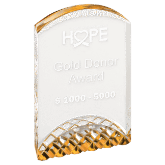 6" Gold Horizon Acrylic