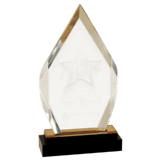 9" Gold Fusion Diamond Impress Acrylic with Black Crystal Base