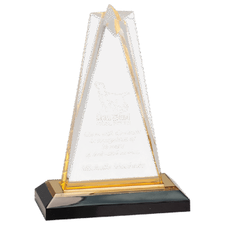 7" Gold Star Impress Acrylic with Base