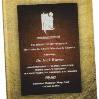 Gold textured binder with a black program page announcing The Illinois LSAMP Program & Center for STEM Education & Research, featuring Dr. Isiah Warner.