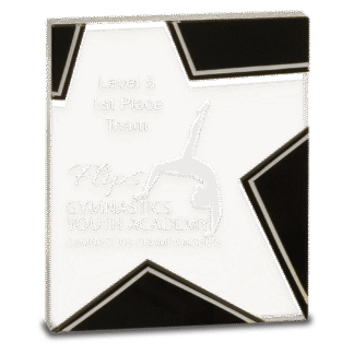 Large Silver and Black Star Glass